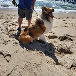 Meet your Posher, Eunice